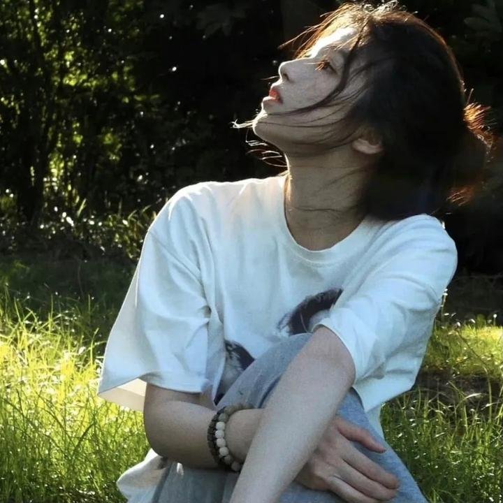 蚂蚁的梦想